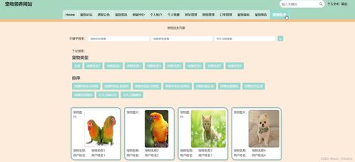 基于Vue.js与Node.js的宠物领养网站的设计与开发